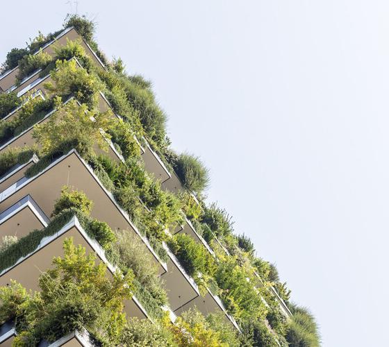 تاثیرات سبزینگی در معماری و نمای ساختمان